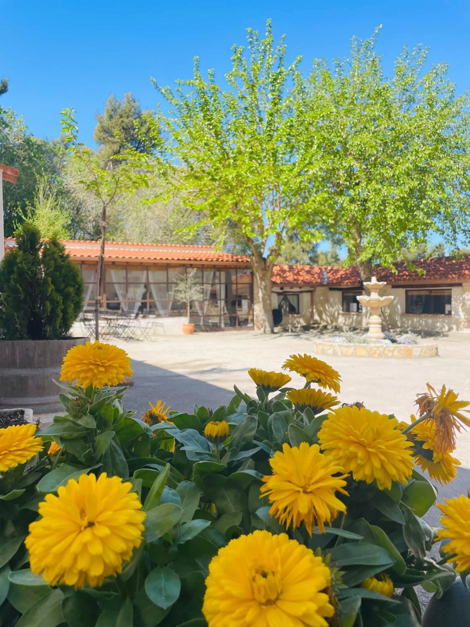 لاغوارديا Casa Rural Majada Del Conde المظهر الخارجي الصورة